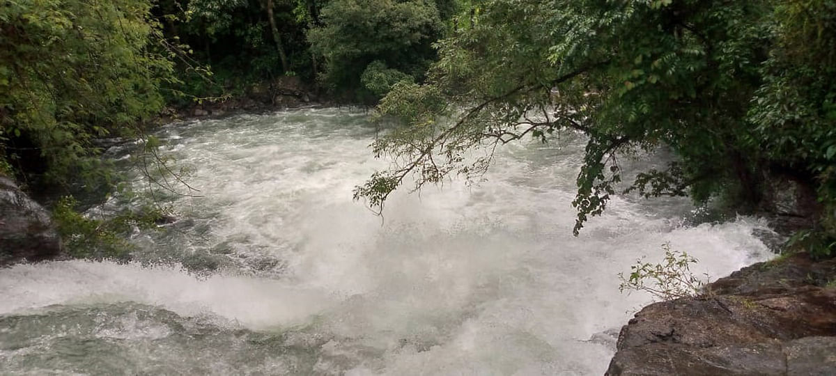 ನಾಪೋಕ್ಲು ಸಮೀಪದ ಪೇರೂರು ಬೆಟ್ಟದಲ್ಲಿ ಬೆಳ್ಳೇರಿ ಹೊಳೆ ಮೈದುಂಬಿ ಹರಿಯುತ್ತಿದೆ