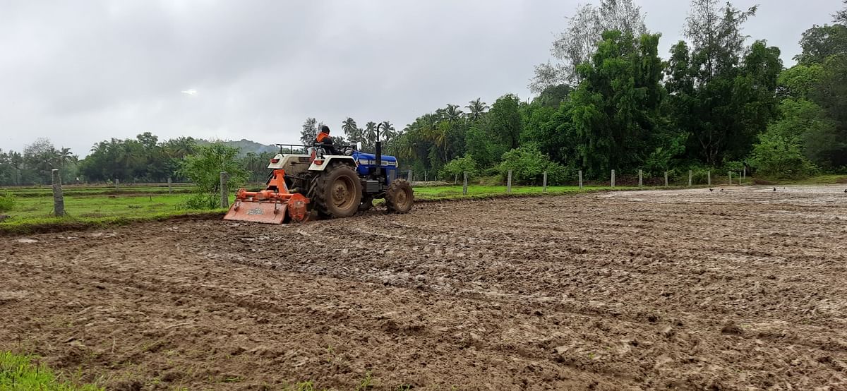 ಬೈಂದೂರು ವ್ಯಾಪ್ತಿಯ ಗದ್ದೆಯೊಂದರಲ್ಲಿ ಟ್ರ್ಯಾಕ್ಟರ್‌ ಮೂಲಕ ಉಳುಮೆ ನಡೆಸುತ್ತಿರುವುದು