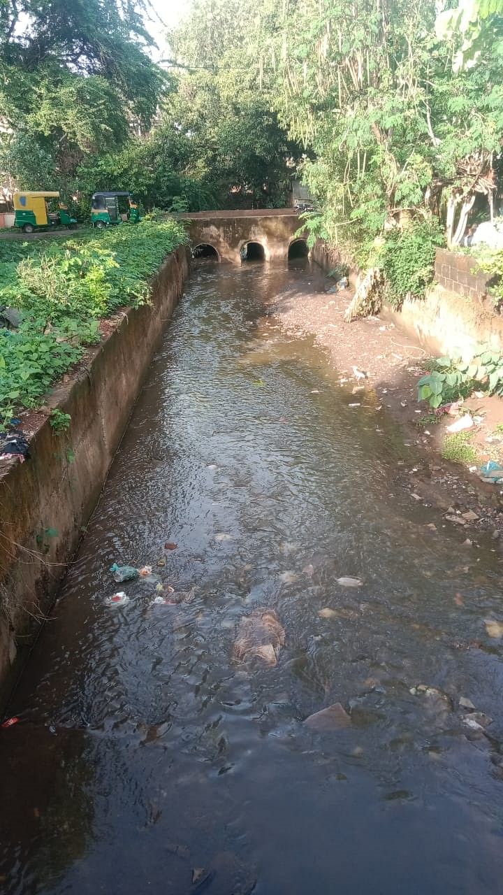 ಬೆಳಗಾವಿಯ ಅಶೋಕ ನಗರದ ನಾಲೆಯಲ್ಲಿ ಮಳೆ ನೀರು ಸರಾಗವಾಗಿ ಹರಿಯುತ್ತಿರುವುದು 