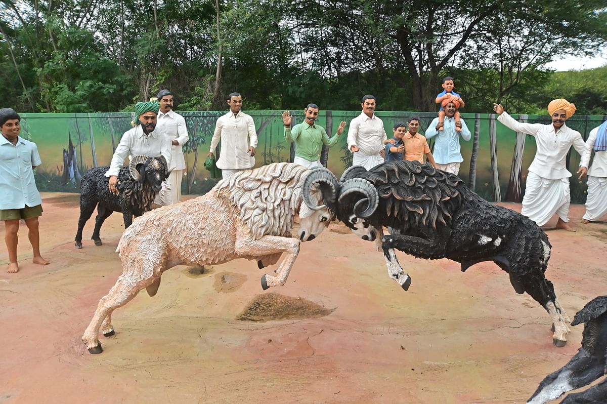 ಟಗರು ಕಾಳಗದ ಕಲಾಕೃತಿ...