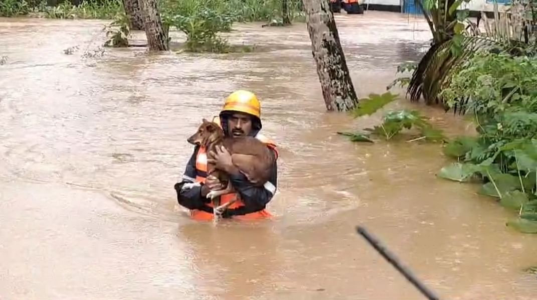 ಉಡುಪಿಯ ಪಾಡಿಗಾರಿನ ಪ್ರವಾಹಪೀಡಿತ ಪ್ರದೇಶದಲ್ಲಿದ್ದ ನಾಯಿಯನ್ನು ಅಗ್ನಿಶಾಮಕ ದಳದ ಸಿಬ್ಬಂದಿ ರಕ್ಷಿಸಿದರು