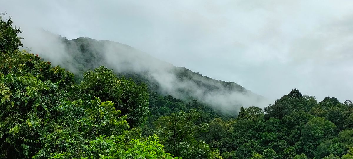 ಪಶ್ಚಿಮ ಘಟ್ಟದ ಬೆಟ್ಟದ ಸಾಲುಗಳ ಮೇಲೆ ಮಂಜು ಆವರಿಸಿರುವುದು.