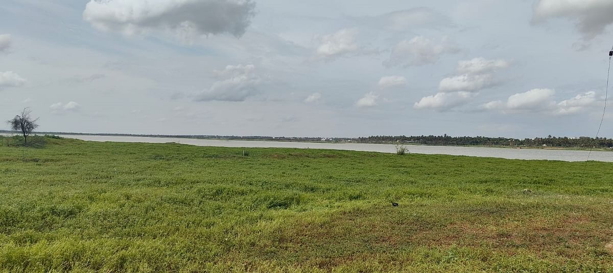 ಒತ್ತುವರಿ ನಡುವೆಯೂ ಹೊಸಕೋಟೆ ದೊಡ್ಡ ಕೆರೆ