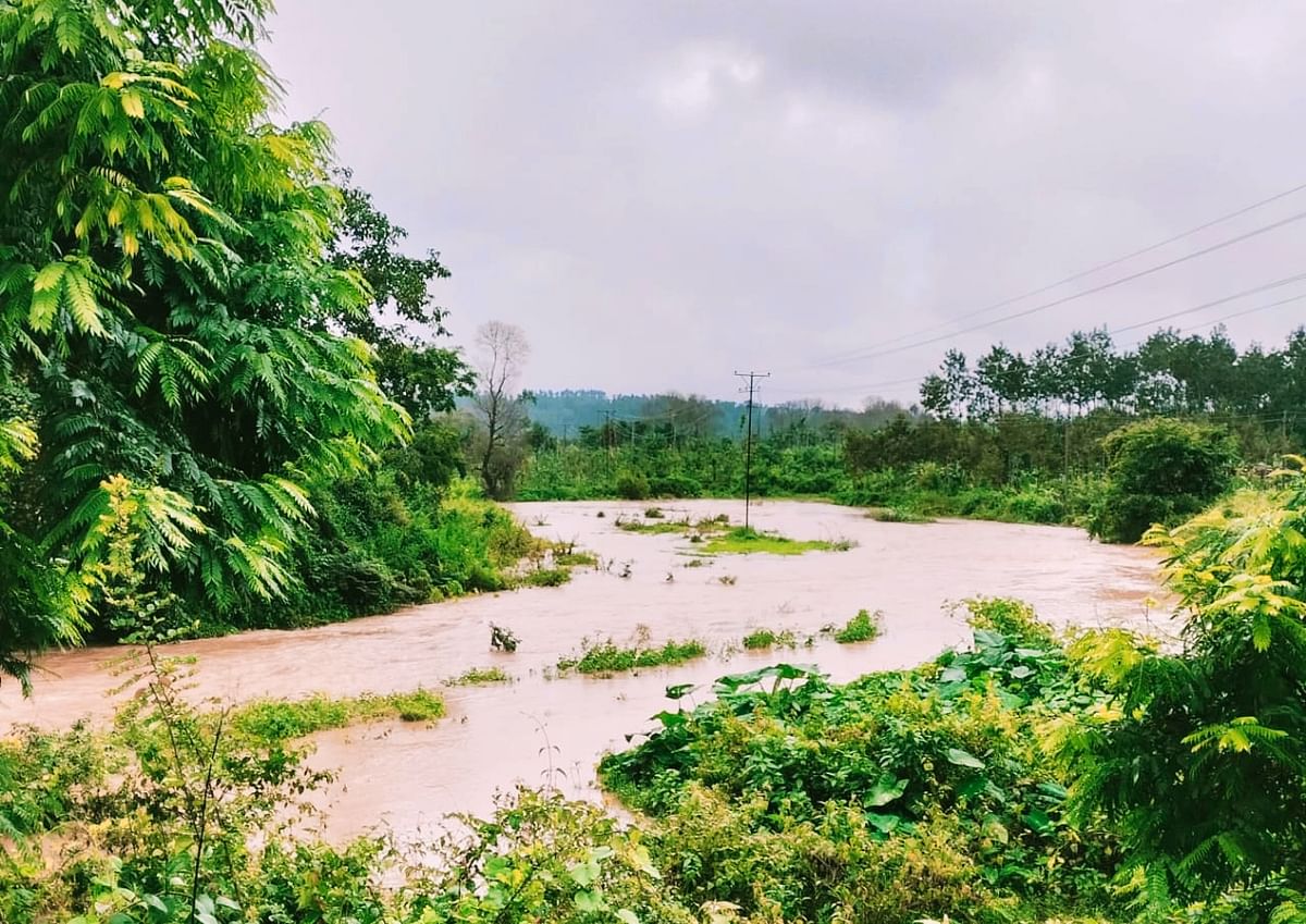 ಆಲ್ದೂರು ಪಟ್ಟಣದ ಸಮೀಪದ ಬಿರಂಜಿ ಹಳ್ಳ ನಿರಂತರ ಮಳೆಯಿಂದ ತುಂಬಿ ಹರಿಯುತ್ತಿರುವುದು