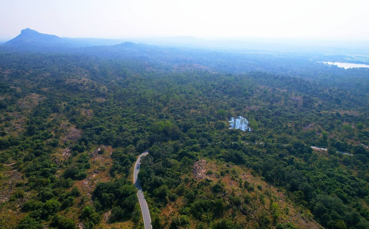 ಮೇಲುಕೋಟೆ ವನ್ಯಜೀವಿಗಳ ಅಭಯಾರಣ್ಯದ ದೃಶ್ಯ