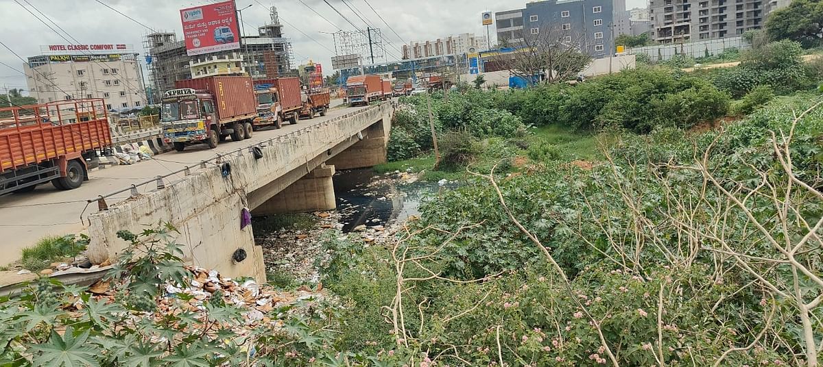 ಕೆರೆ ಕೋಡಿ ಹರಿಯುವಲ್ಲಿ ತುಂಬಿರುವ ತ್ಯಾಜ್ಯ