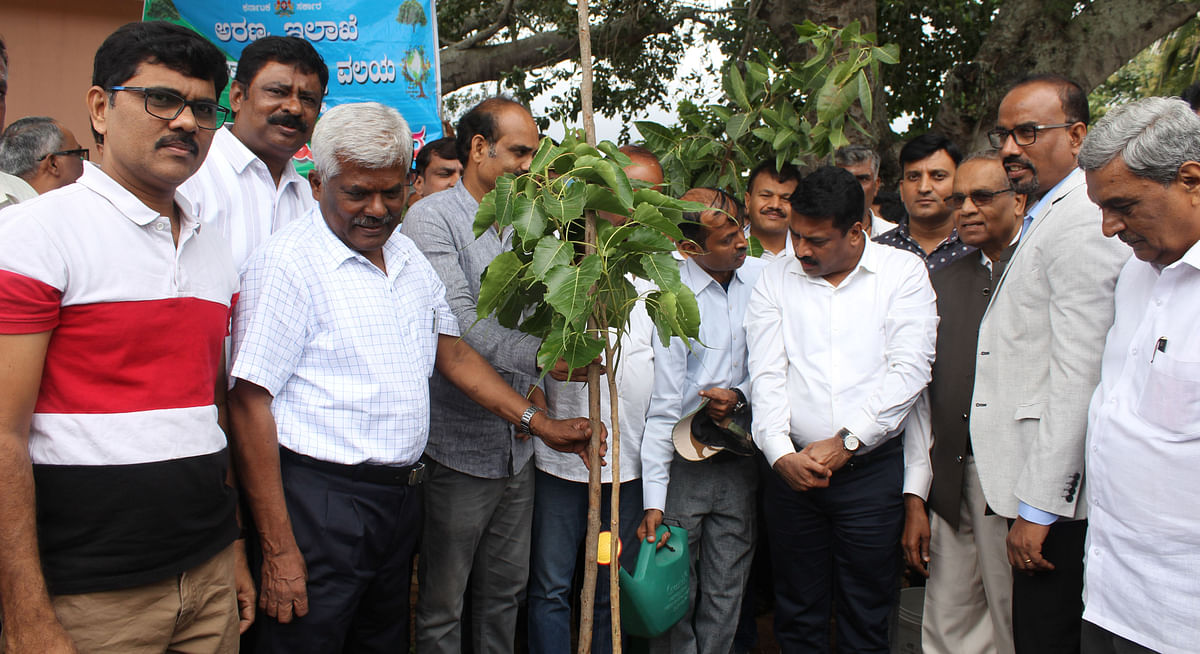 ಆನೇಕಲ್ ತಾಲ್ಲೂಕಿನ ದ್ಯಾವಸಂದ್ರದಲ್ಲಿ ಗುಂಡು ತೋಪಿನಲ್ಲಿ ಗಿಡಗಳನ್ನು ನೆಡಲಾಯಿತು. ಜಿಲ್ಲಾಧಿಕಾರಿ ಕೆ.ಎ.ದಯಾನಂದ್‌ ಮುಖ್ಯಮಂತ್ರಿಗಳ ಜಂಟಿ ಕಾರ್ಯದರ್ಶಿ ಎಂ.ರಾಮಯ್ಯ ಚಿತ್ರದಲ್ಲಿದ್ದಾರೆ