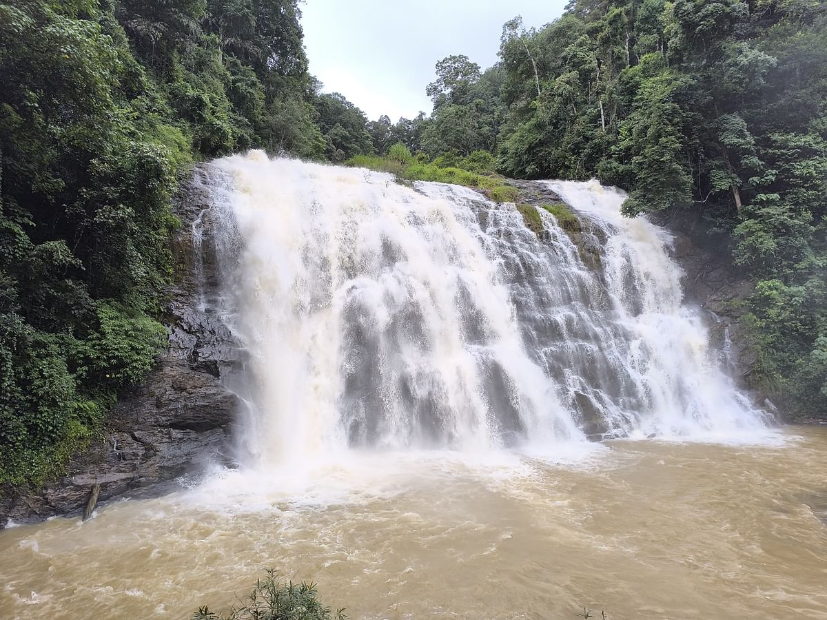 ಮಡಿಕೇರಿ ಸಮೀಪದ ಅಬ್ಬಿ ಜಲಪಾತದಲ್ಲಿ ಜಲಧಾರೆಯು ಧುಮ್ಮಿಕ್ಕುತ್ತಿರುವ ದೃಶ್ಯ ಗುರುವಾರ ಕಂಡು ಬಂತು ಪ್ರಜಾವಾಣಿ ಚಿತ್ರ/ರೆಜಿತ್‌ಕುಮಾರ್ ಗುಹ್ಯ