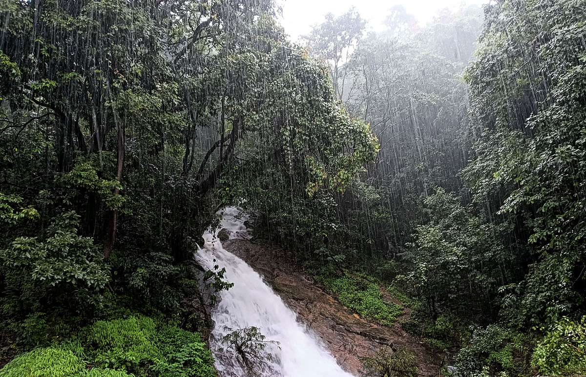 ಪಶ್ಚಿಮ ಘಟ್ಟದ ತುದಿಯಿಂದ ಭೋರ್ಗರೆಯುತ್ತಿರುವ ನೀರು