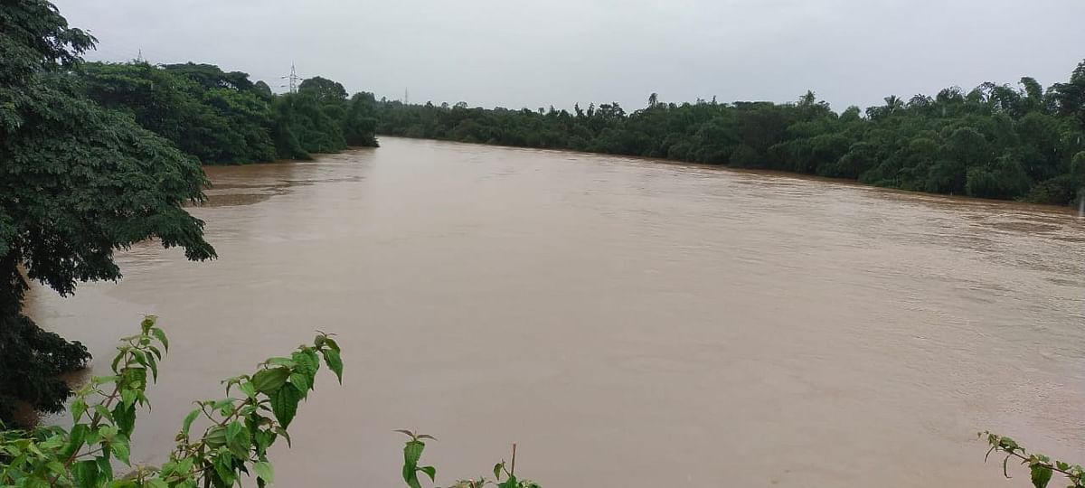 ಕುಶಾಲನಗರ ಟೋಲ್‌ಗೇಟ್‌ನ ಕೊಪ್ಪ ಸೇತುವೆ ಬಳಿ‌ ಮಂಗಳವಾರ ಕಾವೇರಿ ನದಿ ಅಪಾಯದ ಮಟ್ಟದಲ್ಲಿ ಹರಿಯುತ್ತಿರುವ ದೃಶ್ಯ