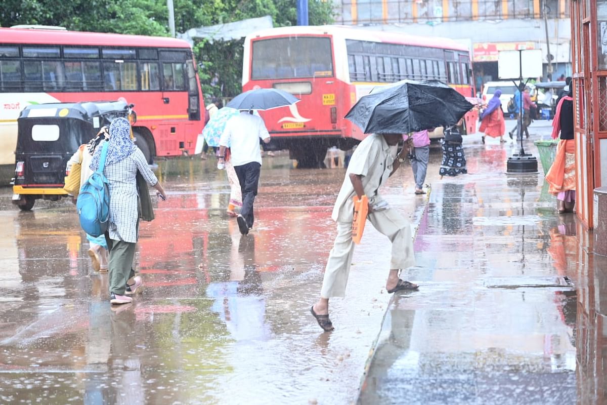 ಬೀದರ್‌ ಕೇಂದ್ರ ಬಸ್‌ ನಿಲ್ದಾಣದಲ್ಲಿ ಸಾರ್ವಜನಿಕರು ಶನಿವಾರ ಕೊಡೆಗಳನ್ನು ಆಶ್ರಯಿಸಿಕೊಂಡು ಓಡಾಡಿದರು
–ಪ್ರಜಾವಾಣಿ ಚಿತ್ರಗಳು: ಲೋಕೇಶ ವಿ. ಬಿರಾದಾರ