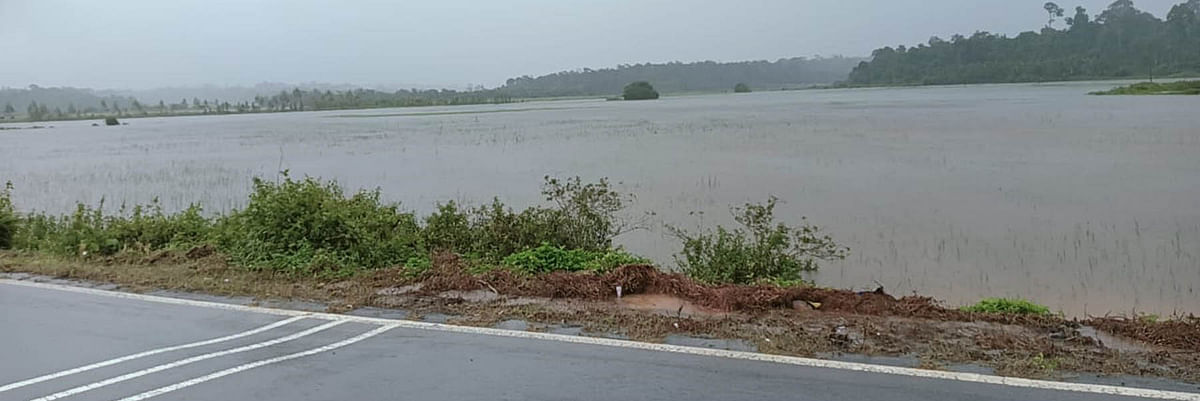 ಪೊನ್ನಂಪೇಟೆ ಹುದಿಕೇರಿ ನಡುವಿನ ಬೇಗೂರು ಕೊಲ್ಲಿಯಲ್ಲಿ ನೀರು ಸಂಗ್ರಹಗೊಂಡಿರುವುದು