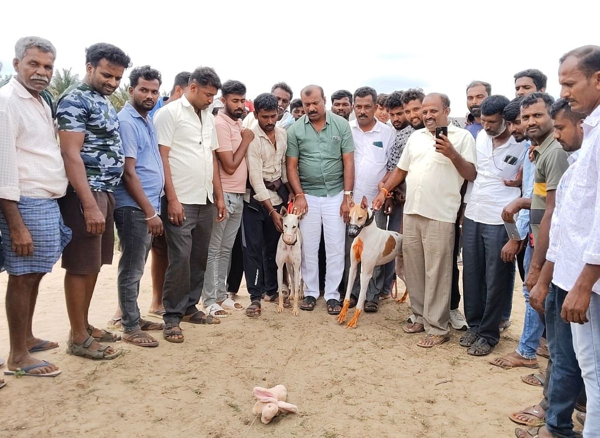 ಮನ್ಮುಲ್ ನಿರ್ದೇಶಕ  ಡಾಲು ರವಿ  ಬಹುಮಾನ ವಿತರಿಸಿ ಮಾತನಾಡಿದರು.