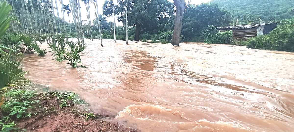 ಮಧಗದ ಕೆರೆಯ ಕೋಡಿ ನೀರು ಅಪಾಯಮಟ್ಟದಲ್ಲಿ ತೋಟಗಳೊಳಗೆ ಹರಿಯುತ್ತಿದೆ.