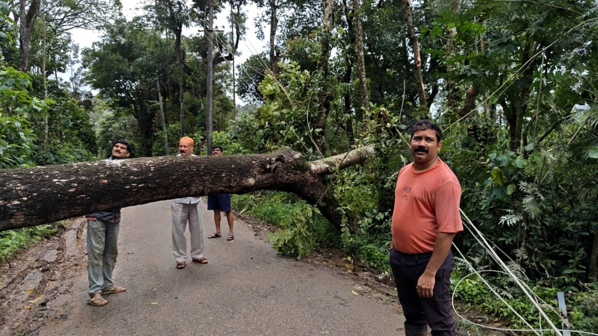 ಸೋಮವಾರಪೇಟೆ ತಾಲ್ಲೂಕಿನ ಕಿರಗಂದೂರು ಗ್ರಾಮದ ನಾಗರಾಜ್ ಅವರ ಮನೆ ಸಮೀಪದ ರಸ್ತೆಯಲ್ಲಿ ಮರ ಬಿದ್ದಿರುವುದು.