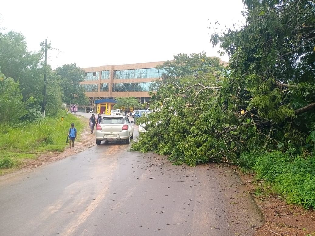 ಪುತ್ತೂರು ತಾಲ್ಲೂಕಿನ ಸರ್ವೆ ಗ್ರಾಮದ ಭಕ್ತಕೋಡಿ ಜಂಕ್ಷನ್ ಬಳಿ ಶುಕ್ರವಾರ ಸಂಜೆ ಮರ ಉರುಳಿ ಮಂಜೇಶ್ವರ-ಸುಬ್ರಹ್ಮಣ್ಯ ರಸ್ತೆಯಲ್ಲಿ ವಾಹನ ಸಂಚಾರಕ್ಕೆ ಅಡಚಣೆ ಉಂಟಾಯಿತು