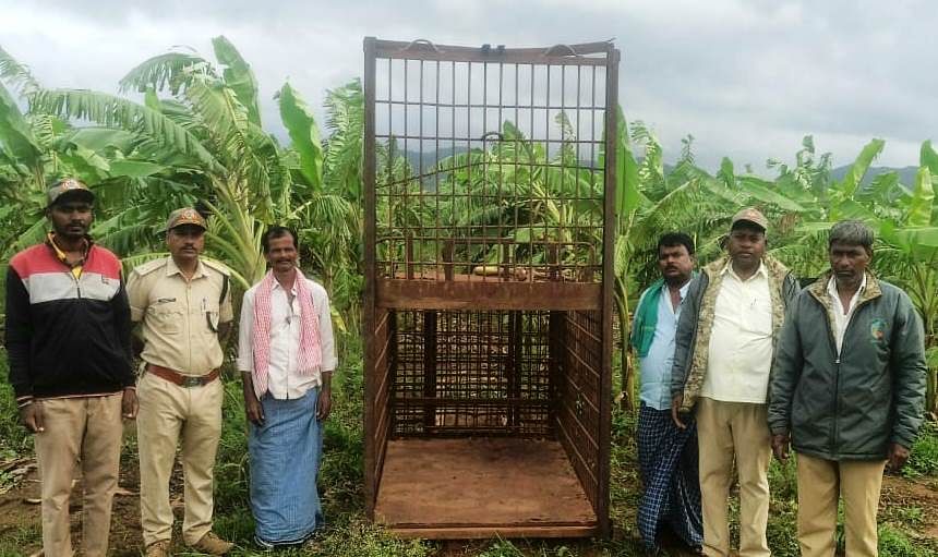 ರಟ್ಟೀಹಳ್ಳಿ ತಾಲ್ಲೂಕು ಕಡೂರ ಗ್ರಾಮದ ರೈತ ಶಂಕರಗೌಡ ಶಿರಗಂಬಿ ಅವರ ತೋಟದಲ್ಲಿ ಗುರುವಾರ ಚಿರತೆಯೊಂದು ಪ್ರತ್ಯಕ್ಷವಾಗಿದ್ದು ಚಿರತೆ ಸೆರೆಗಾಗಿ ಅರಣ್ಯ ಇಲಾಖೆಯವರು ಬೋನ್ ಅಳವಡಿಸಿದ್ದಾರೆ.