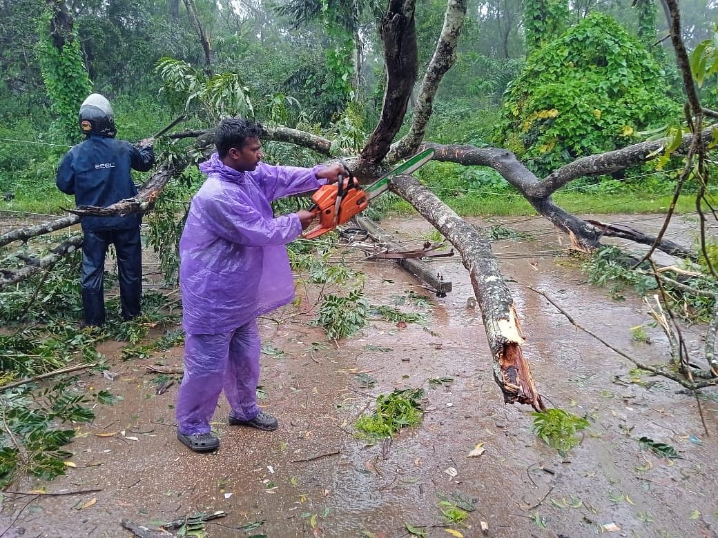 ಶನಿವಾರಸಂತೆ ಹೋಬಳಿ  ಹಾರೆ ಹೊಸೂರು ಗ್ರಾಮದ ಗಂಗಾಧರ ಅವರ ಮನೆಯ ಪಕ್ಕದಲ್ಲಿ ಮರ ಬಿದ್ದು ಹಾನಿಯಾಗಿದ್ದು, ತೆರವುಗೊಳಿಸುವ ಕಾರ್ಯ ನಡೆಯಿತು