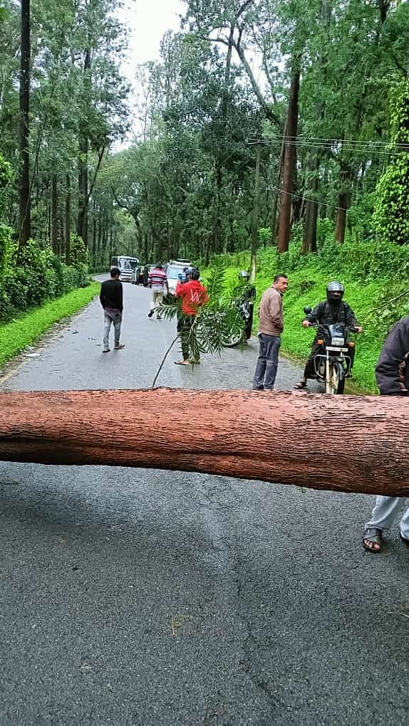 ಐಗೂರು ಹೊಸತೋಟದ ನಡುವೆ ಮರ ಬಿದ್ದು ಸಾರಿಗೆ ಸಂಚಾರಕ್ಕೆ ವ್ಯತ್ಯಯ ಉಂಟಾಗಿದ್ದು, ಮರ ತೆರವು ಕಾರ್ಯ ನಡೆದಿದೆ.