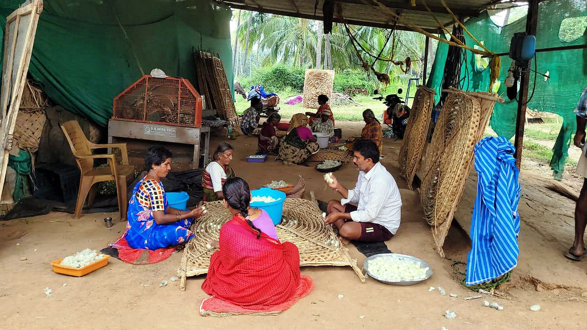 ರೇಷ್ಮೆಗೂಡು ಬಿಚ್ಚುತ್ತಿರುವ ಶಶಿಕುಮಾರ್ ಮತ್ತು ಮಹಿಳೆಯರು