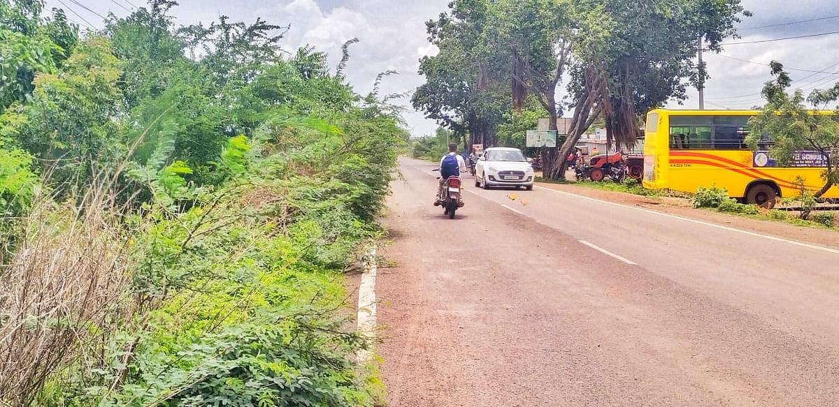 ಹುಲಸೂರು ಪಟ್ಟಣದ ಬಸವಕಲ್ಯಾಣ - ಭಾಲ್ಕಿ ಮುಖ್ಯರಸ್ತೆಯ ಗಡಿಗೌಡಗಾಂವ ಗ್ರಾಮಕ್ಕೆ ಸಂಪರ್ಕಿಸುವ ರಾಜ್ಯ ಹೆದ್ದಾರಿ ಪಕ್ಕದಲ್ಲಿ ಮುಳ್ಳು ಕಂಟಿ ಬೆಳೆದಿರುವುದು