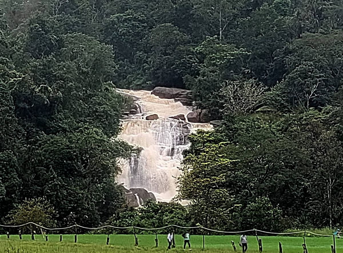 ಸೋಮವಾರಪೇಟೆ ಸಮೀಪದ ಅಭಿಮಠ ಬಾಚಳ್ಳಿಯಲ್ಲಿನ ಅಬ್ಬಿ ಜಲಪಾತ