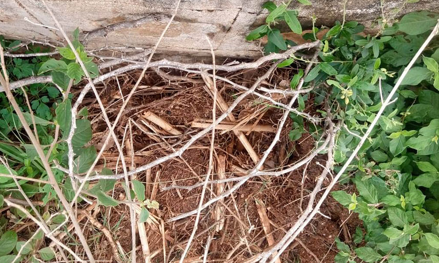 ಸೇತುವೆ ಕೆಳಭಾಗದಲ್ಲಿ ಹೂಳುತುಂಬಿರುವುದು.