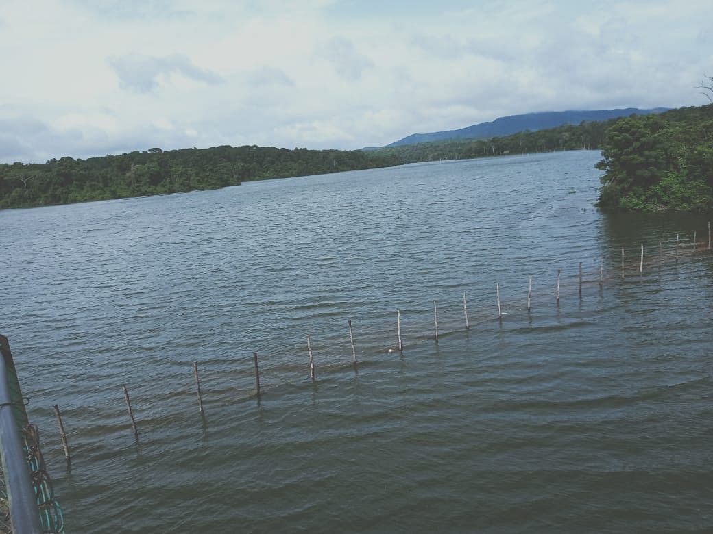 ಕುಶಾಲನಗರ ಸಮೀಪದ ರಂಗಸಮುದ್ರ ಬಳಿಯ ಚಿಕ್ಲಿಹೊಳೆ ಜಲಾಶಯ ಭರ್ತಿಯಾಗಿದೆ. ಪ್ರಜಾವಾಣಿ ಚಿತ್ರ/ರಘು ಹೆಬ್ಬಾಲೆ