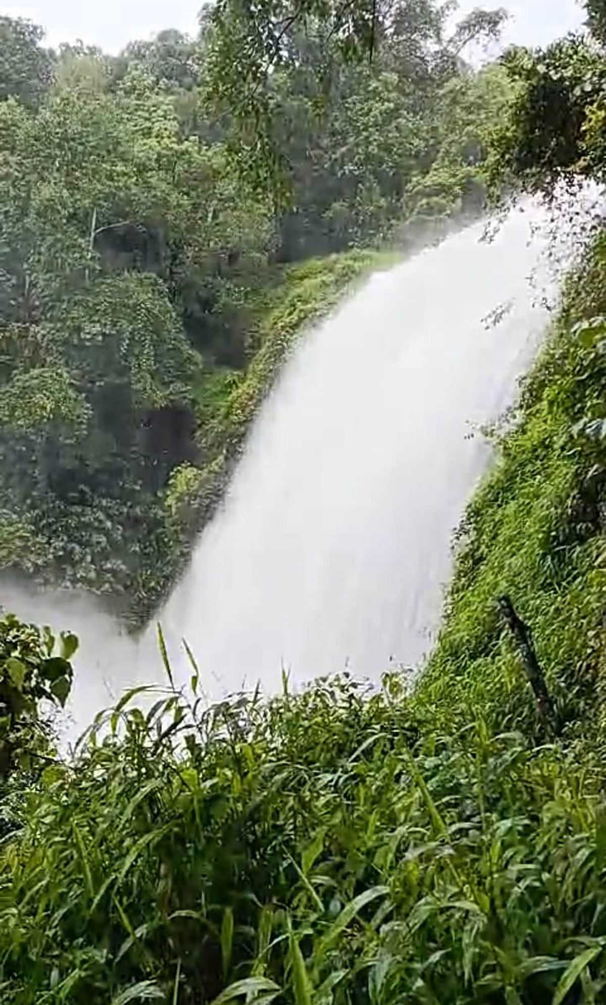 ಚೇಲಾವರ ಜಲಪಾತದ ಮನಮೋಹಕ ನೋಟ.