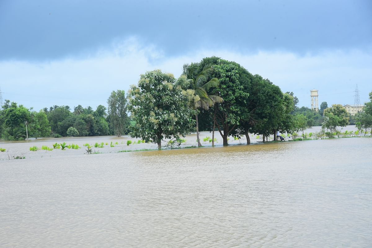 ಹಾವೇರಿ ತಾಲ್ಲೂಕಿನ ಕೂಡಲ–ನಾಗನೂರು ಮಾರ್ಗದಲ್ಲಿ ವರದಾ ನದಿ ನೀರು ಜಮೀನಿಗೆ ನುಗ್ಗಿರುವುದು