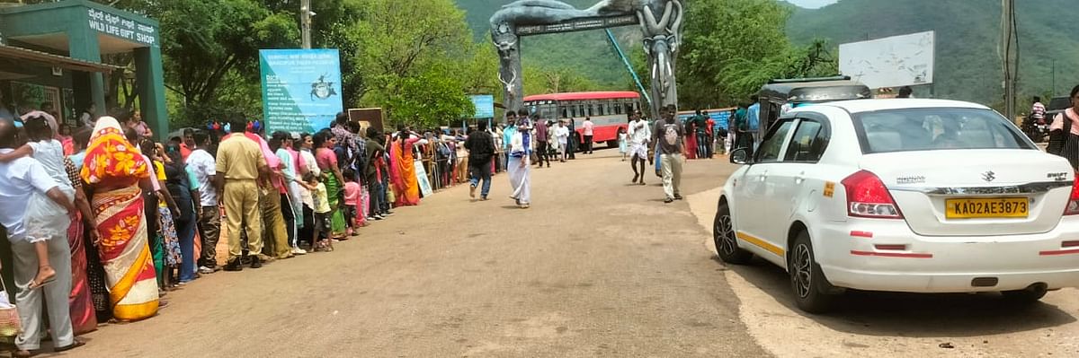 ಗೋಪಾಲಸ್ವಾಮಿ ಬೆಟ್ಟಕ್ಕೆ ತೆರಳಲು ಟಿಕೆಟ್‌ಗಾಗಿ ಸರದಿಯಲ್ಲಿ ನಿಂತಿರುವ ಪ್ರವಾಸಿಗರು