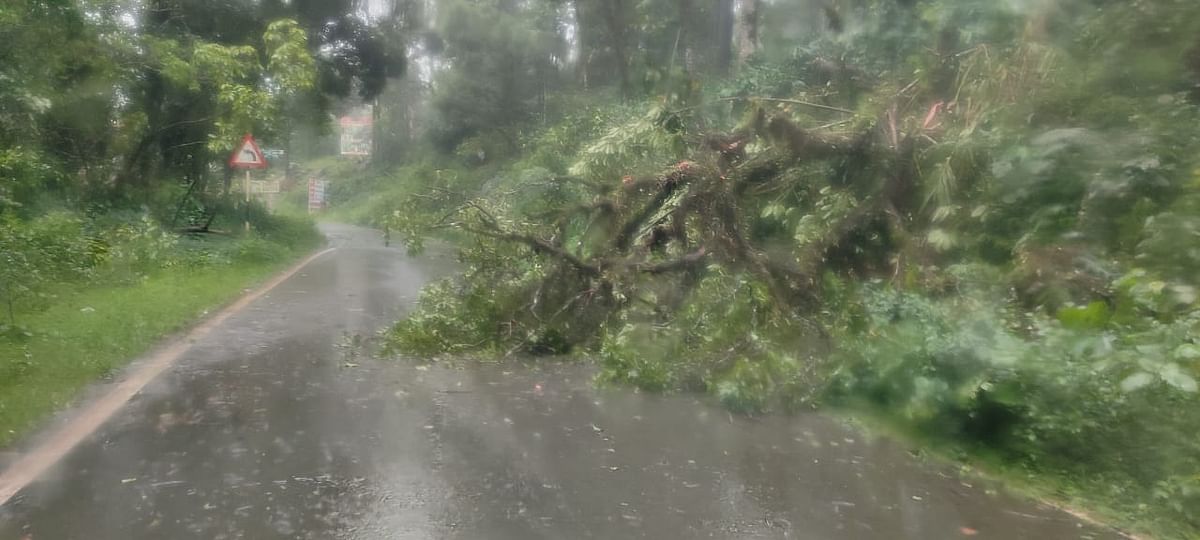 ಕೊಡಗಿನಲ್ಲಿ ಮಳೆ ಸುರಿಯುತ್ತಿರುವ ದೃಶ್ಯ