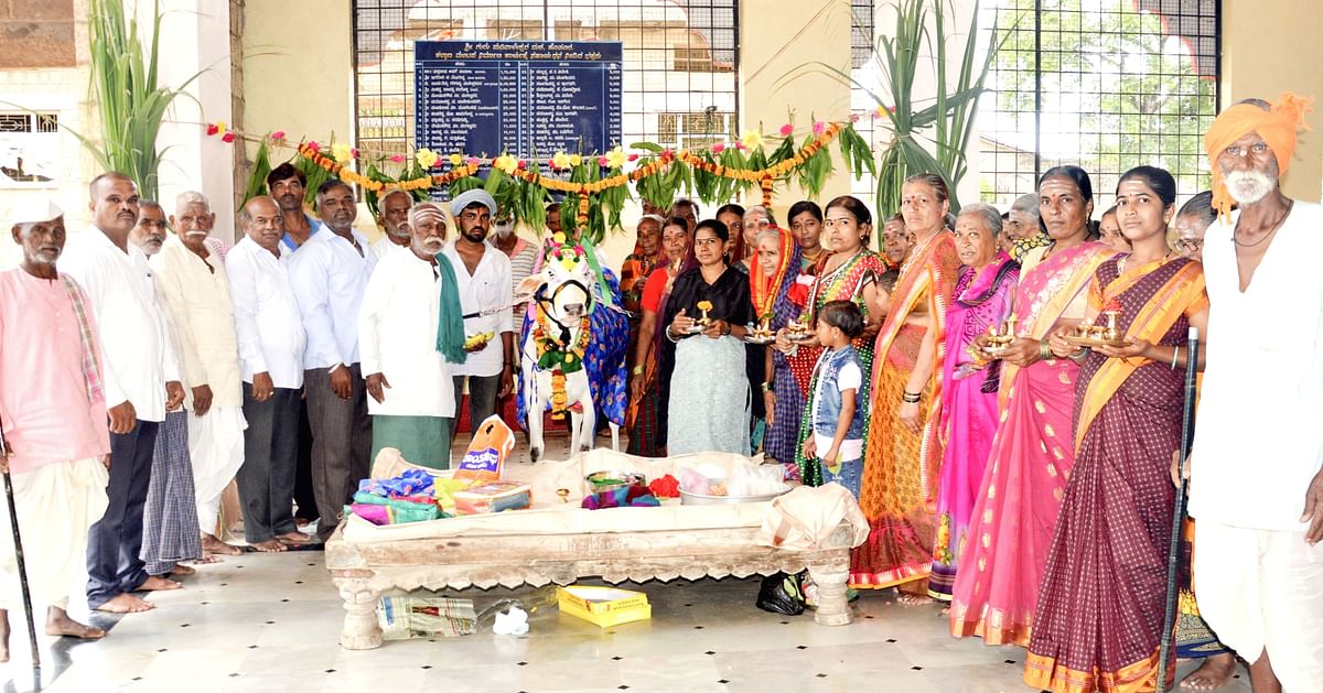 ಬೈಲಹೊಂಗಲ ಸಮೀಪದ ಹೊಸೂರ ಗ್ರಾಮದ ಗುರು ಮಡಿವಾಳೇಶ್ವರ ಮಠದ ಗೋವಿಗೆ ಗ್ರಾಮಸ್ಥರು ಮನೆ ಮಗಳಂತೆ ಸಿಂಗರಿಸಿ ಶುಕ್ರವಾರ ಕುಪ್ಪಸ ಕಾರ್ಯ ನೆರವೇರಿಸಿದರು