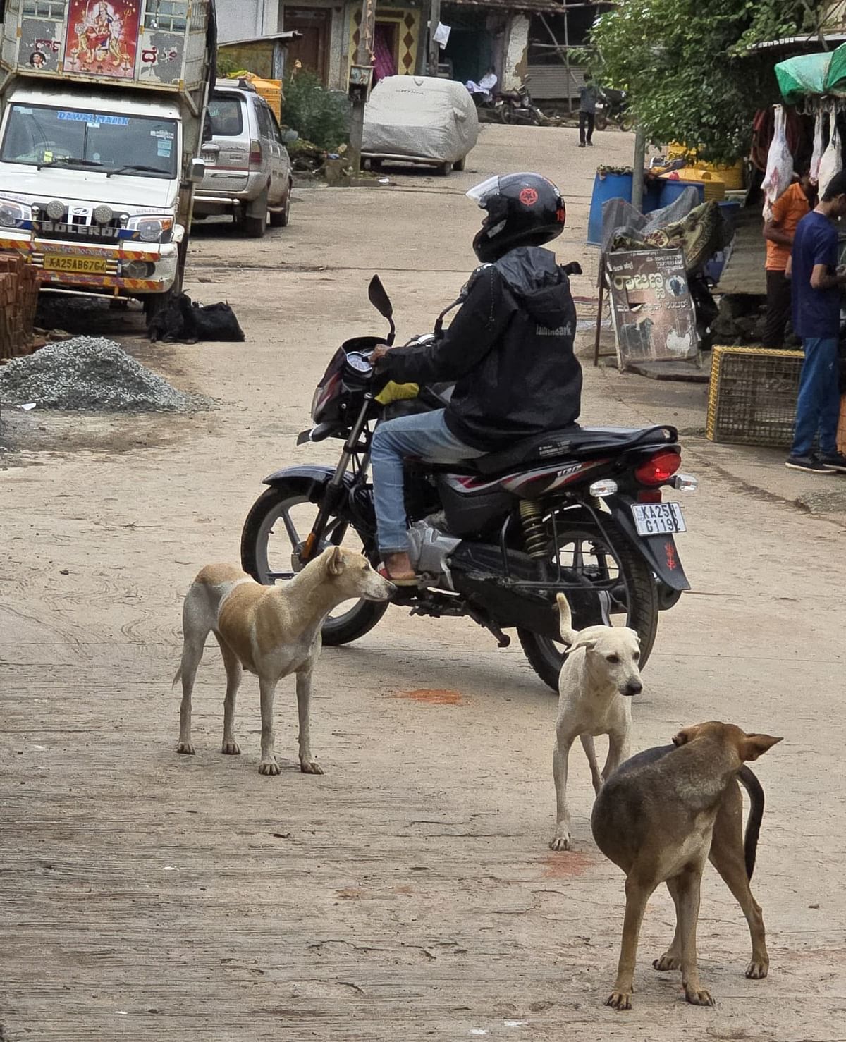 ಕಲಘಟಗಿಯ ಗಾಂಧಿನಗರದದಲ್ಲಿ ಬೀದಿ ನಾಯಿಗಳ ಹಾವಳಿ