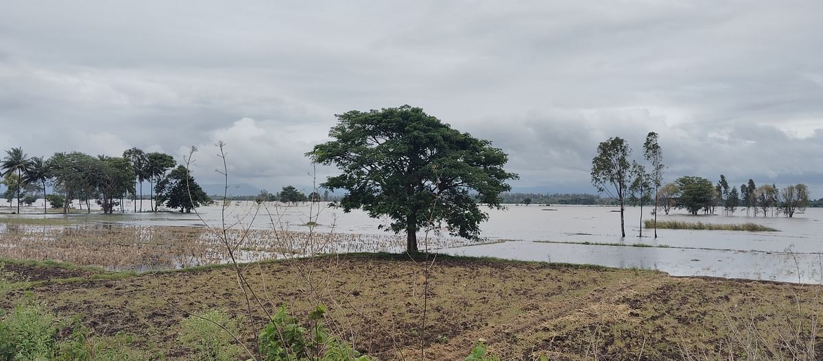 ತಲಕಾಡಿನ ಕುಕ್ಕುರು ಗ್ರಾಮದ ಕೃಷಿ ಭೂಮಿಗಳು ಜಲಾವೃತವಾಗಿದೆ