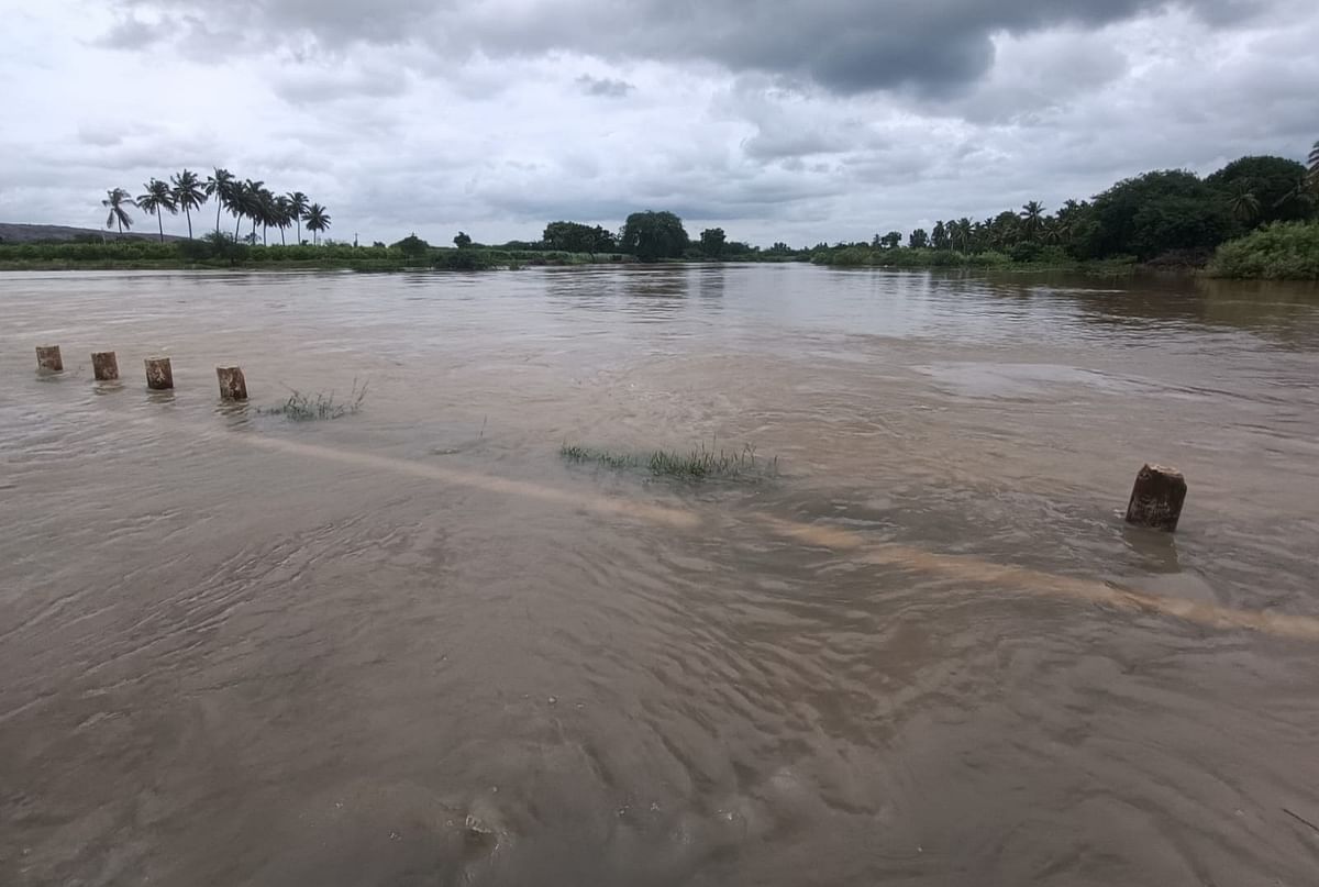 ನರಗುಂದ ತಾಲ್ಲೂಕಿನ ಕೊಣ್ಣೂರು ಬಳಿಯ ಮಲಪ್ರಭಾ ಹೊಳೆಯ ಹಳೆಯ ಸೇತುವೆ ತುಂಬಿ ಹರಿಯುತ್ತಿದ್ದು ಜಮೀನುಗಳಿಗೆ ನೀರು ನುಗ್ಗಿತು