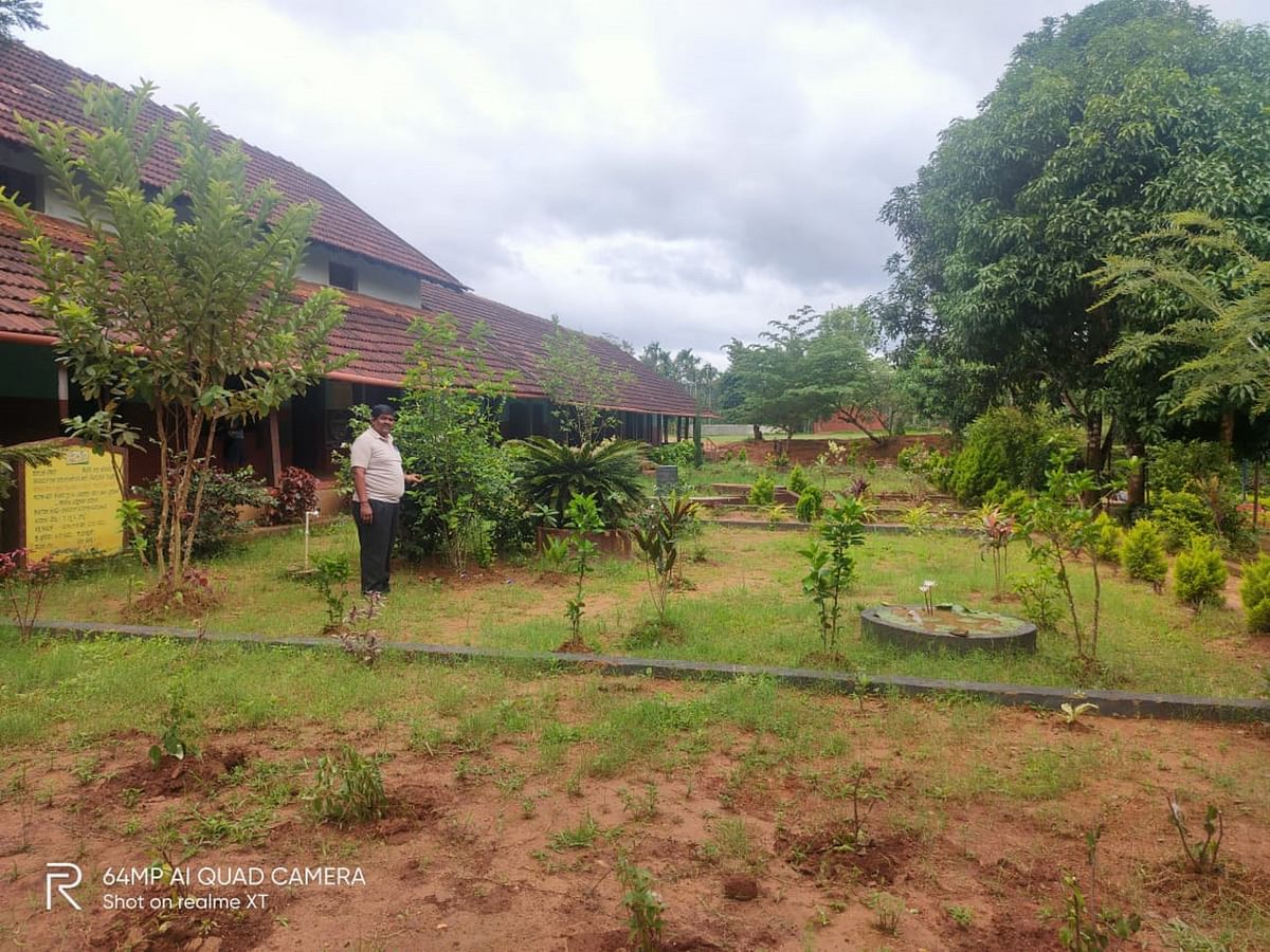  ಚೂರಿಕಾಡು ಸರ್ಕಾರಿ ಹಿರಿಯ ಪ್ರಾಥಮಿಕ ಶಾಲೆಯ ಹಸಿರ ಅಂಗಳ