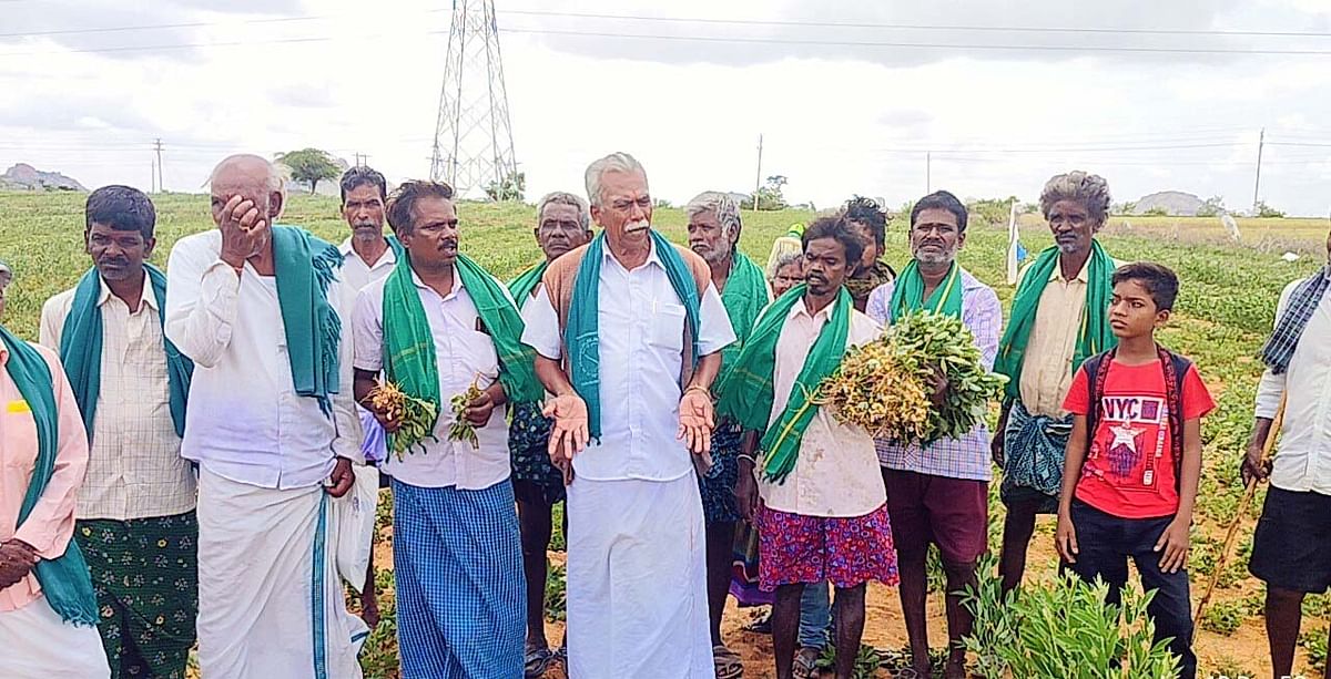 ಪಾವಗಡ ತಾಲ್ಲೂಕು ಗುಂಡ್ಲಹಳ್ಳಿ ಬಳಿಯ ಶೇಂಗಾ ಬೆಳೆಯನ್ನು ಕಾಡುಹಂದಿಗಳು ಹಾಳುಮಾಡಿರುವುದನ್ನು ಕರ್ನಾಟಕ ರಾಜ್ಯ ರೈತಸಂಘ ಹಸಿರು ಸೇನೆ ಜಿಲ್ಲಾಧ್ಯಕ್ಷ ಪೂಜಾರಪ್ಪ ಭಾನುವಾರ ತೋರಿಸುತ್ತಿರುವುದು.