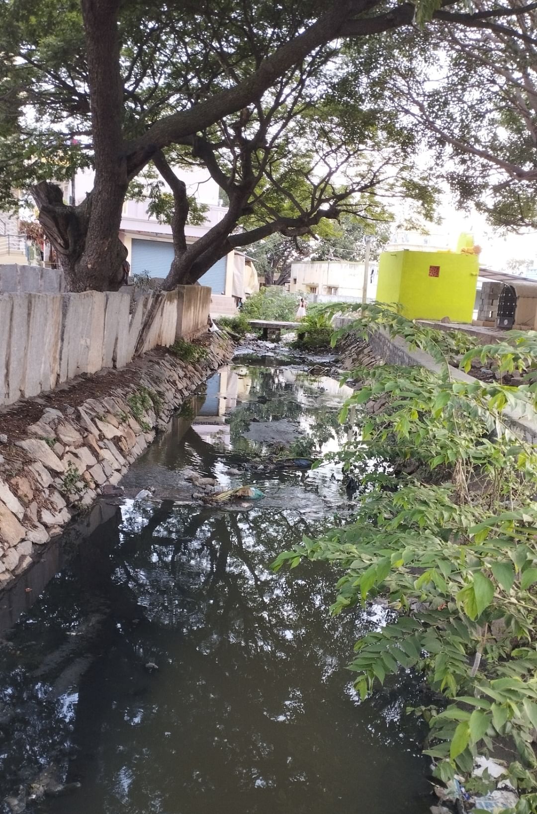 ಪಶು ಆಸ್ಪತ್ರೆ ಮುಂಬಾಗ ಸ್ವಚ್ಛತೆ ಇಲ್ಲದಿರುವುದು