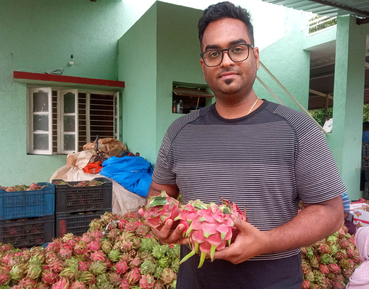 ಡ್ರ್ಯಾಗನ್ ಫ್ರೂಟ್‌ ರಾಶಿಯೊಂದಿಗೆ ಅರುಣ್ ಕುಮಾರ್