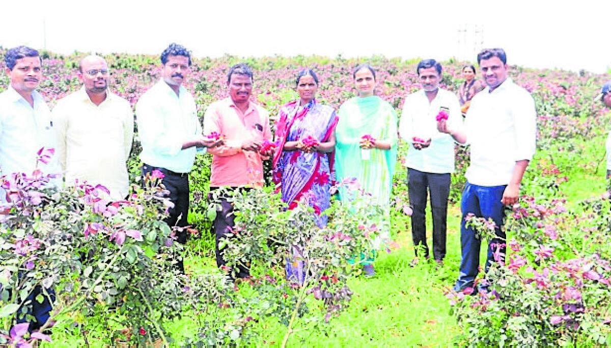 ತುಕಾರಾಮ ಅವರ ಹೊಲಕ್ಕೆ ಅಧಿಕಾರಿಗಳು ಭೇಟಿ ನೀಡಿರುವುದು