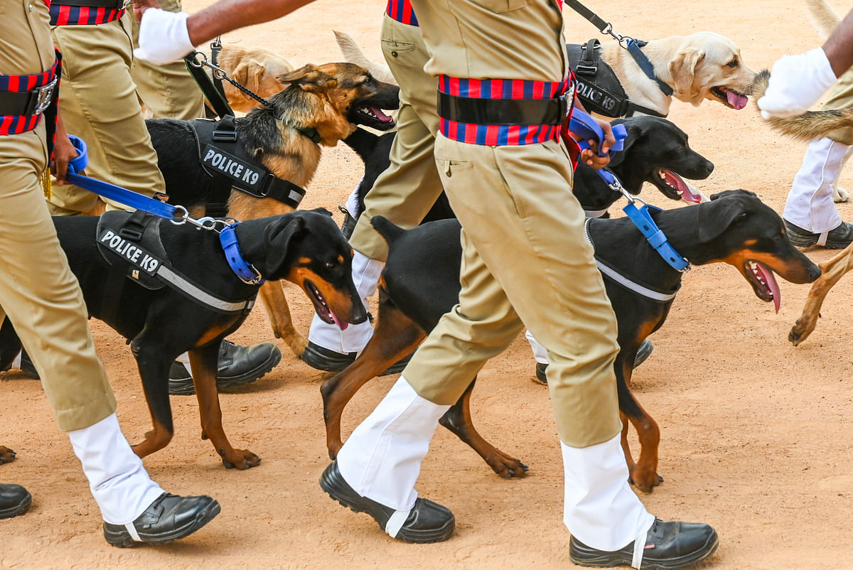 ಪಥಸಂಚಲನದಲ್ಲಿ ಶ್ವಾನದಳ 