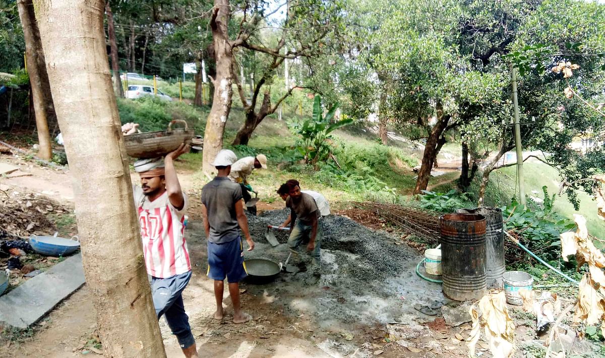 ಕೆಲಸ ನಿರತ ಕಾರ್ಮಿಕರು