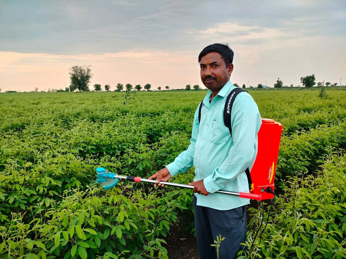 ತೊಗರಿ ಬೆಳೆಯಲ್ಲಿ ಕುಡಿ ಚಿವುಟುವ ಯಂತ್ರದ ಮೊರೆ ಹೋದ ರೈತ ಚಂದ್ರು ಹಂಪನಗೌಡ್ರ