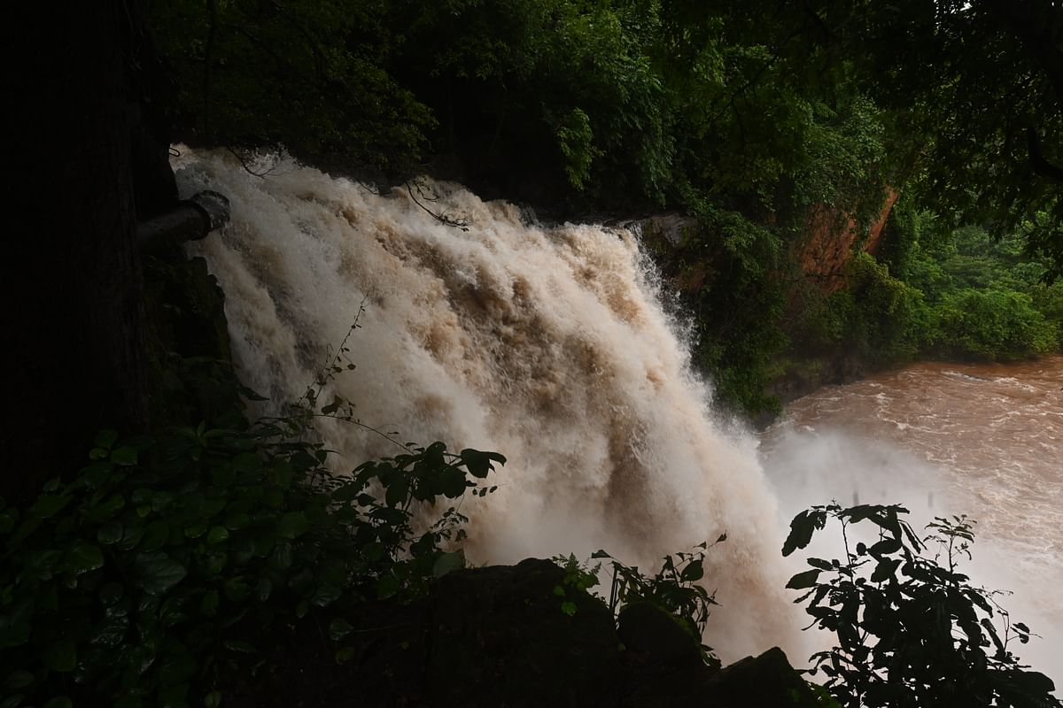 ಕಾಡಿನೊಳಗೆ ಕಾಣಸಿಗುವ ಜಲಪಾತಗಳು 