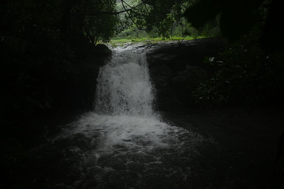 ಕಾಡಿನೊಳಗೆ ಕಾಣಸಿಗುವ ಜಲಪಾತಗಳು 