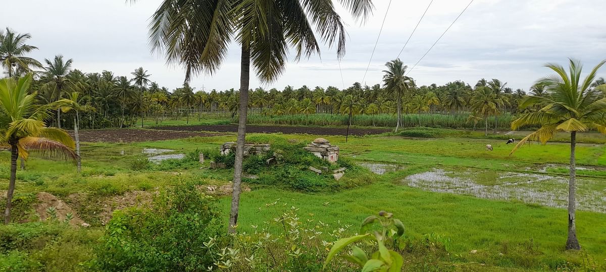 ಹಸಿರು ಪರಿಸರದಲ್ಲಿ ಈಶ್ವರದೇವಾಲಯ ವಿಹಂಗಮ ನೋಟ