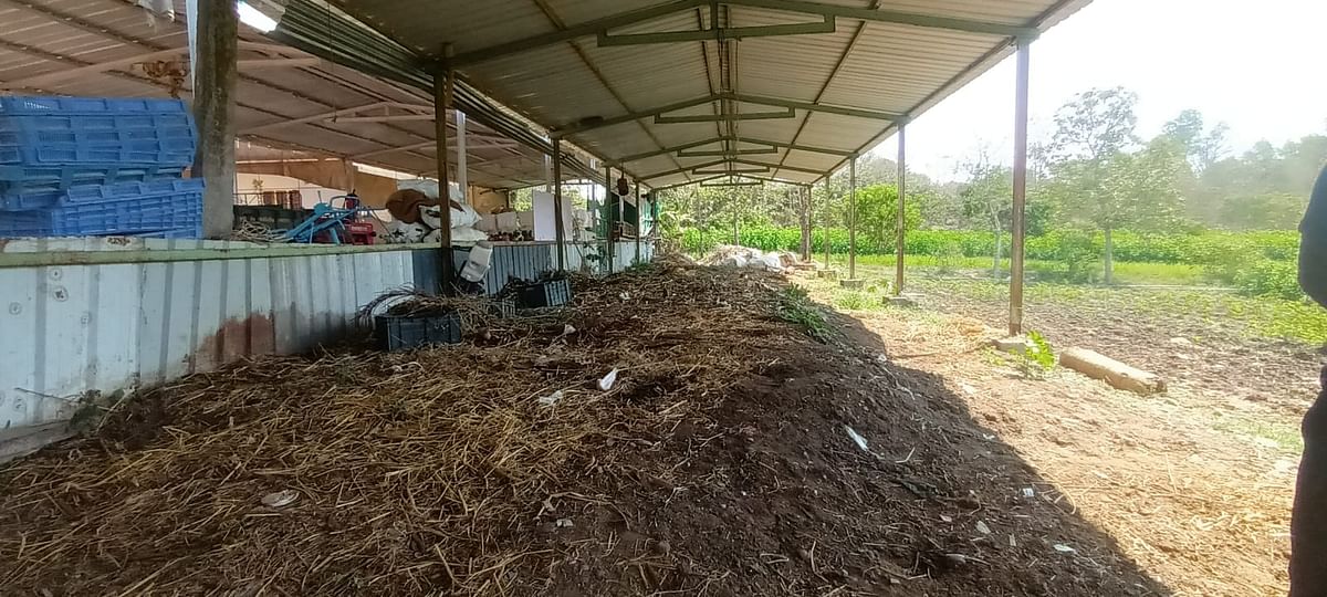 ಧಾರವಾಡ ತಾಲ್ಲೂಕಿನ ಚಿಕ್ಕಮಲ್ಲಿಗವಾಡದ ಕೃಷಿಕ ಬಸವರಾಜ ಹುಚ್ಚಯ್ಯನವರ ಅವರ ಎರೆಹುಖು ಗೊಬ್ಬರ ತಯಾರಿ ಘಟಕ