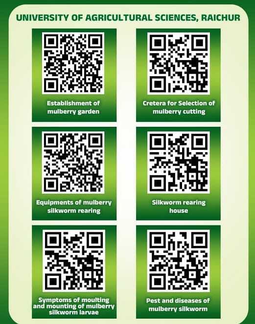 ರಾಯಚೂರಿನ ಕೃಷಿ ವಿಜ್ಞಾನಗಳ ವಿಶ್ವವಿದ್ಯಾಲಯದ ಕೃಷಿ ಕಾಲೇಜಿನ ಕೀಟಶಾಸ್ತ್ರ ವಿಭಾಗದ ರೇಷ್ಮೆ ಕೃಷಿ ಘಟಕವು ಸಿದ್ಧಪಡಿಸಿದ ಕ್ಯೂಆರ್‌ ಕೋಡ್‌ಗಳು