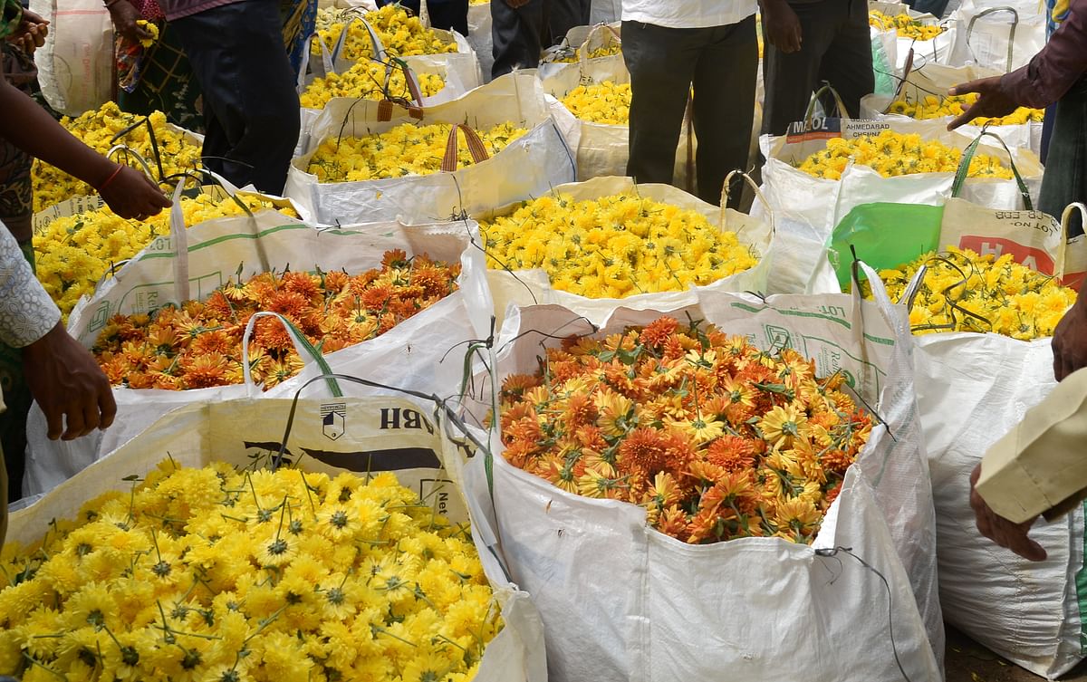 ಮಾರುಕಟ್ಟೆಯಲ್ಲಿ ಸೇವಂತಿಗೆ ಹೂವಿನ ದರ ಕುಸಿತ